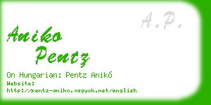 aniko pentz business card