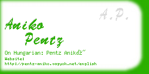 aniko pentz business card